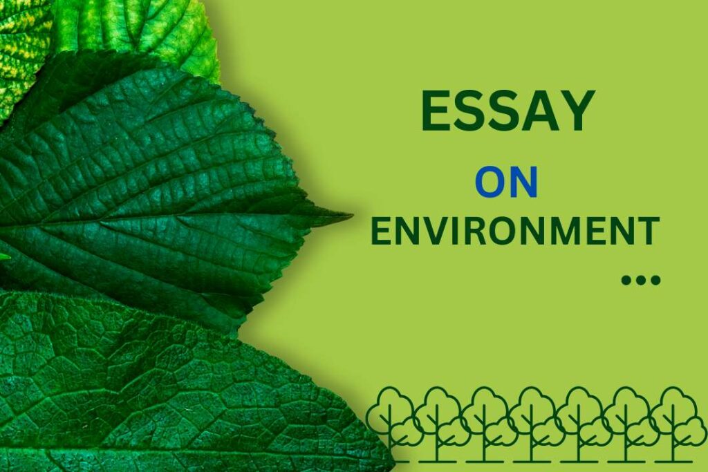ESSAY ON ENVIRONMENT