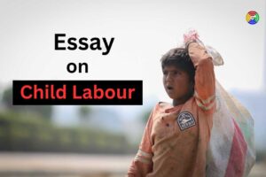 essay on child labour