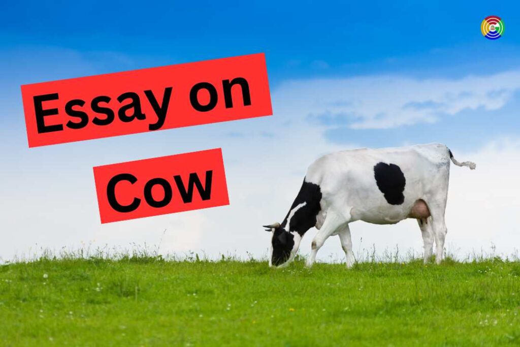 essay on cow