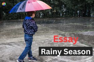 essay-on-rainy-season