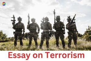 essay-on-terrorism